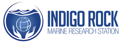 indigo rock marine research